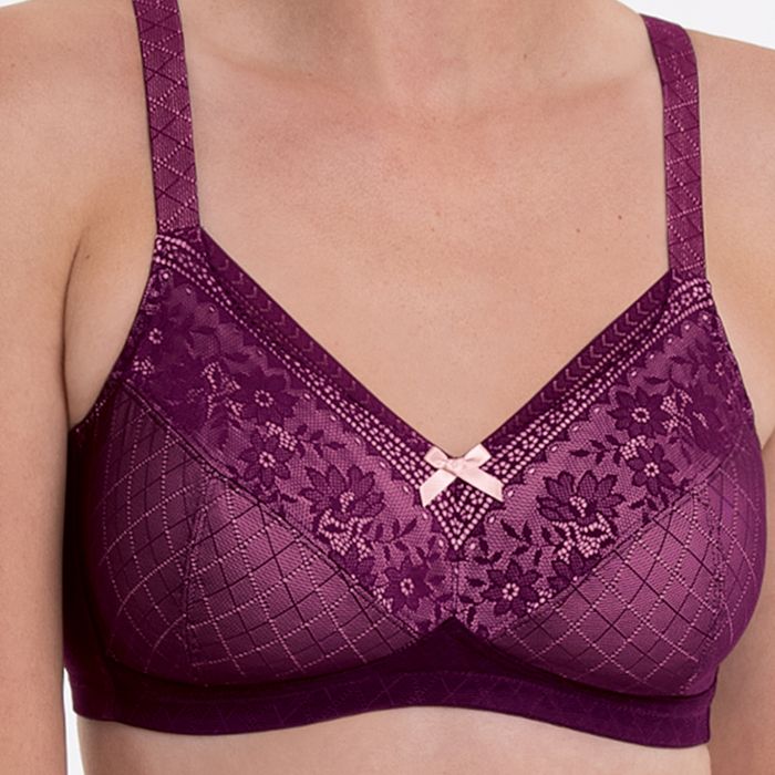 ROSEMARY – Spezial-BH-4785X