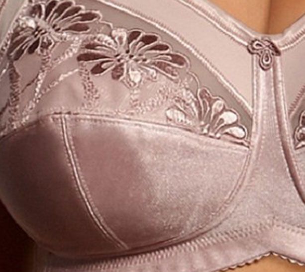 The Anita Safina Support bra, Crystal – Bras & Honey USA